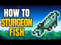 How To Catch Sturgeon In Stardew Valley Best Place Time And Season To Get The Sturgeon Fish