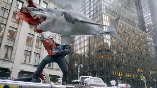 flying sharks no problem just another tuesday for fin