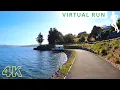 Download Lagu Virtual Running Videos For Treadmill With Music | 30 Minute Virtual Run