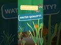 How Do We Test Water Quality