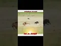 Download Lagu Muyal🐇Vettai 🦮 😍🔥 whatsapp status video tamil | @mahendran_official_07