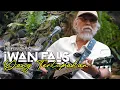 Download Lagu IWAN FALS - YANG TERLUPAKAN (Live Perfomance)