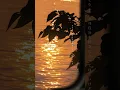 恋の反省文/手がクリームパン（original）