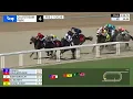 Gulfstream Park February 21 2026 Race 4