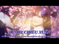 Lagu REMIX CHIỀU XUÂN SÔI ĐỘNG SẮC XUÂN | Nhạc Tết Canh Tý 2020, EDM Tik Tok Htrol GÂY NGHIỆN THỜI ĐẠI