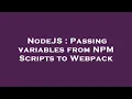 NodeJS Passing variables from NPM Scripts to Webpack