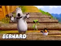 Bernard Bear | Bernard Falls Over! AND MORE | Cartoons for Children