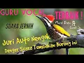Download Lagu Masteran Suara Burung Pelatuk Jeda Rapat Suara Jernih ,cepat terekam dan tidak bikin stress burung