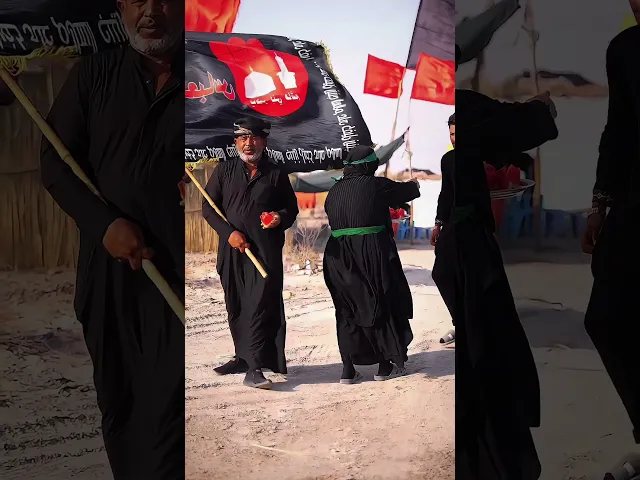 “نساءُ الكرمِ الزينبي… بحجابٍ يروي حكايةَ الطهر، وبخدمةٍ تعانقُ شرفَ العزاء، يقدمن لزوارِ أربعين.