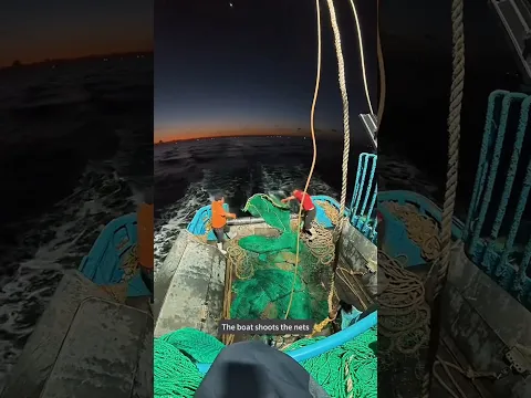 The fishing boat starts casting its nets