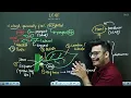 L3 Leaf its Modifications Morphology in Flowering Plants 11th Class Biology ft Hyperbiologist