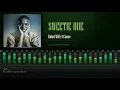 Download Lagu Sweetie Irie - Rebel With A Cause (Soul Rebel Riddim) [HD]