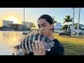 CATCHING SHEEPSHEAD IN MARCO ISLAND NON STOP ACTION