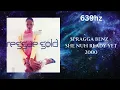 Spragga Benz - She Nuh Ready Yet (639hz)