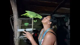 3 FORA SHING WA ANKULILA OFFICIAL MUSIC VIDEO 