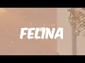 Hector & Tito - Felina (Letra)