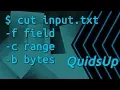 Linux Terminal Basics Cut - Abstract Fields Characters