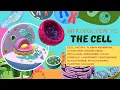 Introduction to a Generalized Cell and Organelles