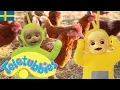 Download Lagu ☆ Teletubbies Svenska ☆ Säsong 9 , Episod 228 ☆ Visar för barn ☆