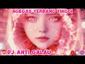 Download Lagu DJ Anti Galau Ngegas Terbang Tinggi Vol. 11 🎧