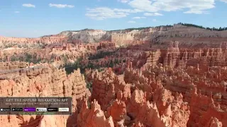 عنوان الحكم لأبي الفتح البستي بصوت أبي ه ريرة الليبي 