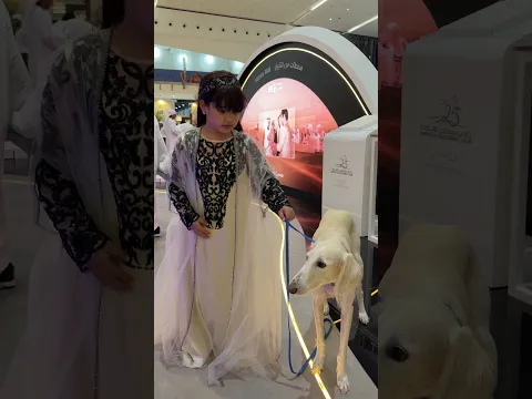 6 سبتمبر، 2026