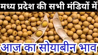 सोयाबीन का आज का भाव मध्य प्रदेश की सभी मंडियों में || soyabean mandi rate march 2019 mp