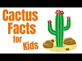 Cactus Facts for Kids Learn About Cacti