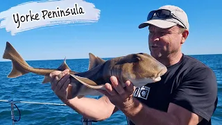 E104 – Fishing for King George Whiting, Port Vincent