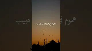 إلهي أنت تعلم كيف حالي مشاري العفاسي 