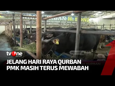 Wabah PMK Ancam Hewan Kurban