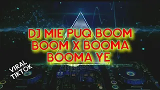 Download DJ BOOM BOOM TIK TOK NEW REMIX 2021 MP3