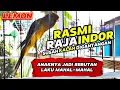 Download Lagu KENARI VIRAL‼️RASMI 50JT‼️Hampir selalu MERAJAI gantangan INDOR....