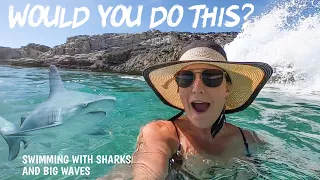 Would You Do This??? – Lazy Gecko Sailing & Adventures Ep. 250