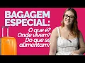 BAGAGEM ESPECIAL - O que e e como despachar bagagem especial