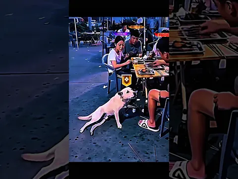 He Came Limping… Then Stole the Food and Ran Away 😂🐶 #shorts