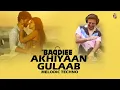 Download Lagu Akhiyaan Gulaab  |  DJ Baddiee |  Melodic Techno I Mitraz