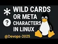 Wildcards Meta Characters in Linux