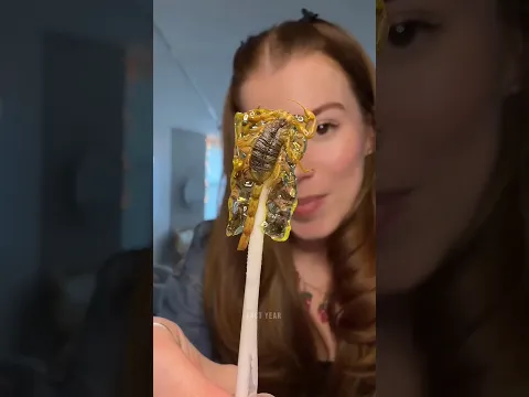 This Lollipop Has a Real Scorpion Inside! 😱🍭🦂
