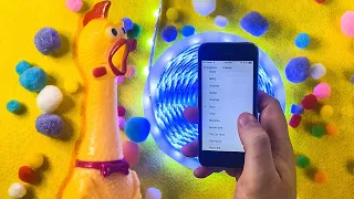 apple iphone 5s all ringtones with mr chicken iphone incoming call 