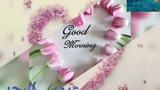 صباح الورد مع هاني شاكر ميل يا حب  صباح الورد مع هاني شاكر ميل يا حب