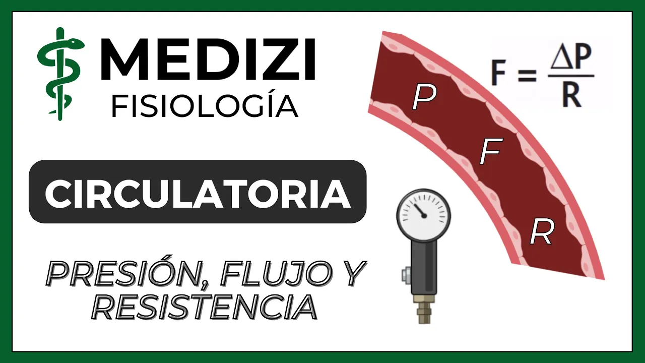 Clase 22 Fisiología Circulatoria - Presión,Flujo y resistencia (IG:@doctor.paiva)