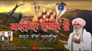 kalia naga ve bhagat deba malsian