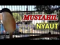 Download Lagu EFEKTIF ❗ pancingan cendet stres macet bunyi AMPUH untuk terapi cendet malas bunyi