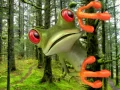 Funny Birt ay Song Tango the Tree Frog