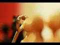 Fadel Shaker Dehket El Dnya فضل شاكر   ضحكت الدنيا