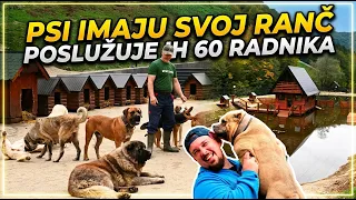 Psi imaju svoj ranč, poslužuje ih 60 ljudi - svjetski exkluziv