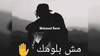 كدبه وعاشها قلبي    تامر عاشور دندنها