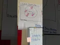 Graphic Organizers for Students