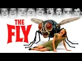 Lagu The Fly (1958) Movie || Vincent Price, David Hedison, Herbert Marshall || Review and Facts